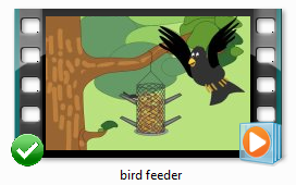 birdfeeder